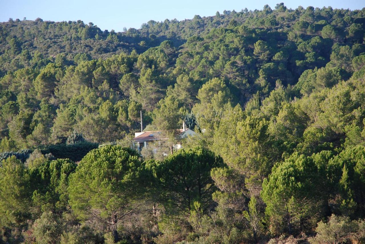 Villa La petite Cigale à Cesseras Extérieur photo